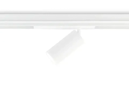 Светильник светодиодный диммируемый для шинопровода Magnetic 220V GL1231 WH белый IP20 24W 3000K-6400K 36° D65*140 (Без ПДУ)