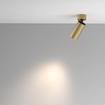 Потолочный светильник Artisan GU10х1, C082CL-01-GU10-MG. TM Maytoni