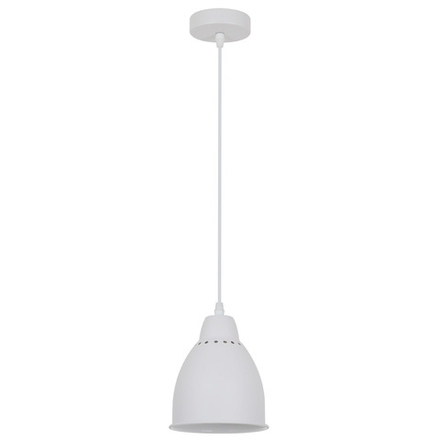Подвесной светильник Arte Lamp BRACCIO A2054SP-1WH, 1хE27