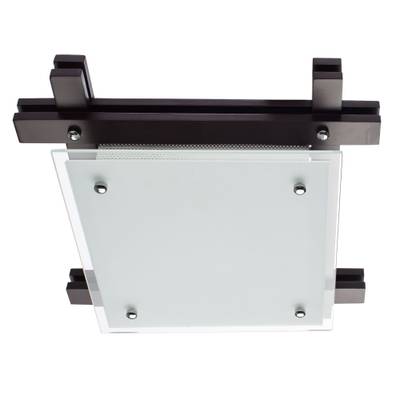Потолочный светильник Arte Lamp ARCHIMEDE A6462PL-2CK, 2хE27