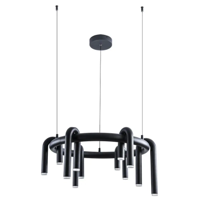 Подвесная люстра Arte Lamp WARHOL A3258LM-30BK, 1хLED