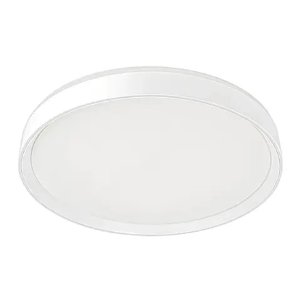 Citilux BOSS CL751450G LED RGB Светильник с пультом Белый