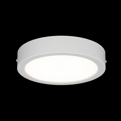 Citilux Галс CL5516N Светильник накладной светодиодный