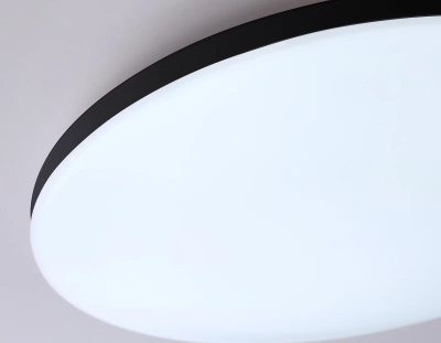 Потолочный светодиодный светильник с Wi-Fi Яндекс Алисой/Tuya/Smart Home/Alexa FZ2004 BK черный IP54 20W 3000K-6500K+RGB D300*55 (ПДУ ИК)