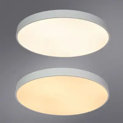 Потолочный светильник Arte Lamp ARENA A2671PL-1WH, 1хLED