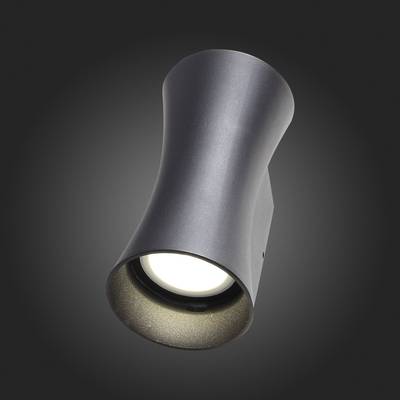 SL088.401.02 Светильник уличный настенный ST-Luce Черный кварцевый LED 2*5W 4000K