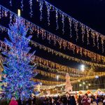 Светодиодная гирлянда ARD-EDGE-PRO-5600x900-WHITE-240LED-MILK-FLASH Warm (230V, 15W) (Ardecoled, IP65)