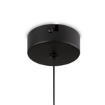 Подвесной светильник Ida FR6133PL-L4SM, LED. TM Maytoni