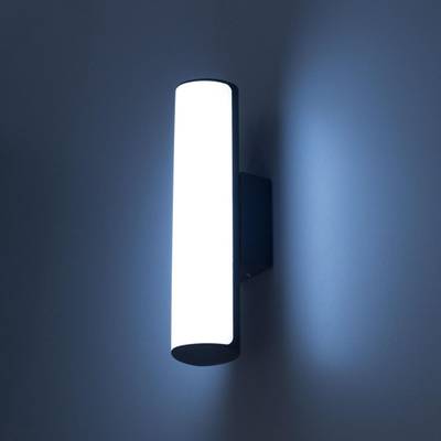 Citilux CLU0007 LED Уличный светильник Графит