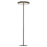 Торшеры Lightstar