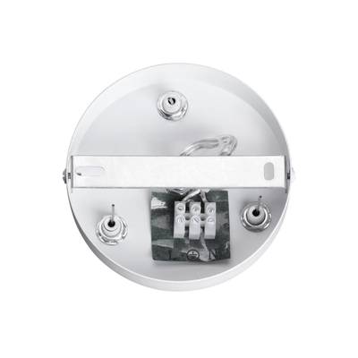 8002/A MODERNI LN25 159 белый/ металл/металл Подвесное крепление 220V ANIMAISA