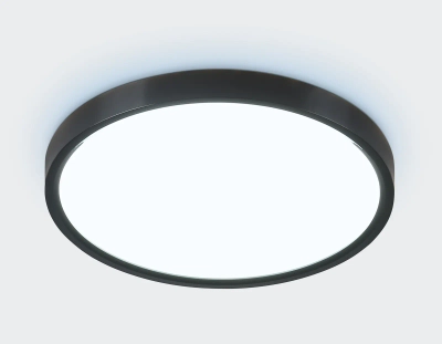 Потолочный светодиодный светильник FZ3050 BK черный IP44 24W+10W 6400+6400К D290*40 (Без ПДУ)