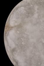 Бра luminosa FL1020-1WH, LEDх1