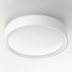 Citilux BOSS CL751250G LED RGB Светильник с пультом Белый