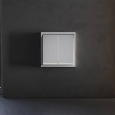 VLS000416 Клавиши для выключателя/переключателя двухклавишного с подсветкой, S70 (серый). (ТМ Maytoni)