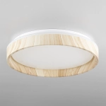 Citilux ENZO CL753352G LED RGB Светильник с пультом Клён