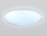 Светильник светодиодный RGB с пультом  FZ1615 FR матовый IP20 60W 3000-6500K+RGB 510*100 (ПДУ ИК)