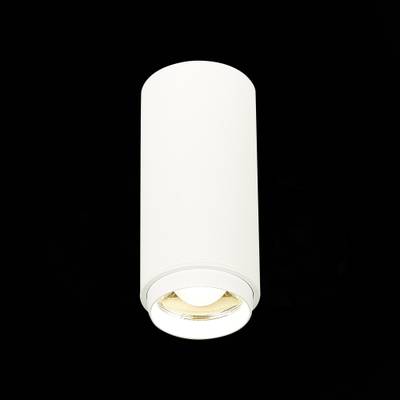 ST600.542.10 Светильник потолочный Zoom Белый LED 1*10W 4000K 1 000Lm Ra&gt;80 15-60° IP20 D59xH130 170-240VV