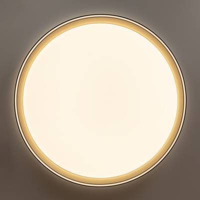 Citilux BOSS CL751451G LED RGB Светильник с пультом Чёрный с Золотом