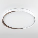 Citilux BONNY CL754450G LED RGB Светильник с пультом Белый + Венге