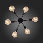 SL419.402.06 Люстра потолочная Черный E27 6*60W