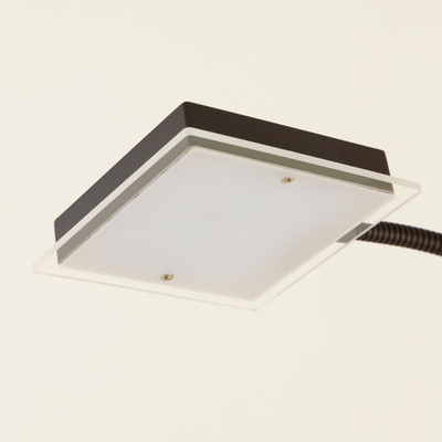 Citilux Харди CL802015 LED Торшер с диммером Кофейный