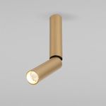 Накладной светодиодный светильник Pika 25029/LED 6W 4200K золото