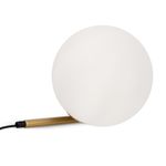 Настольный светильник Blossom FR5259TL-01BS, E14х1. TM Maytoni