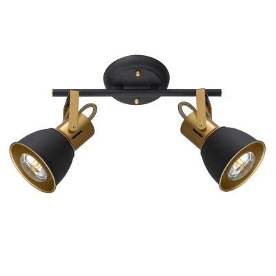 Спот Arte Lamp JOVI A1677PL-2GO, 2хE14