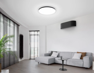 Потолочный светодиодный светильник с Wi-Fi Яндекс Алисой/Tuya/Smart Home/Alexa FZ2005 BK черный IP54 25W 3000K-6500K+RGB D370*55 (ПДУ ИК)