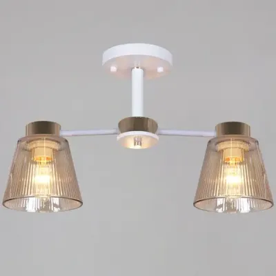 20560-0.3-02 WH+FG светильник потолочный Reluce, E27х2