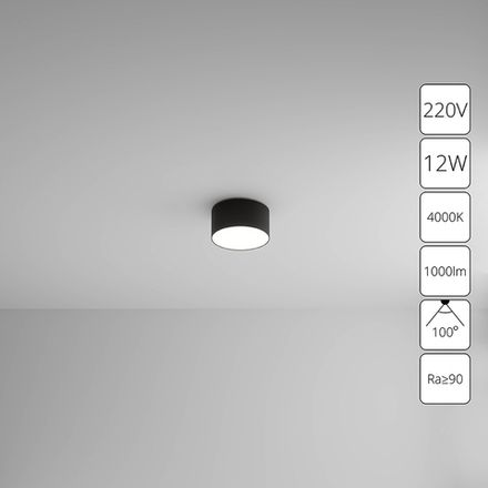 Потолочный светильник Arte Lamp FADO A6612PL-1BK, 1хLED
