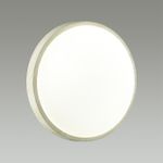 7628/CL PALE SN 170 Светильник пластик/белый/беленый под дерево LED 30Вт 4000К D340 IP43 LOSTA