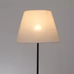 Торшер Arte Lamp ALEA A5068PN-1BK, 1хE27