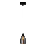 Подвесной светильник Arte Lamp BARRY A7951SP-1BK, 1хE14