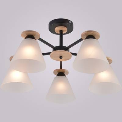 01625-0.3-05 BK+WOOD светильник потолочный