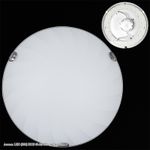 Ассоль LED (300) НПБ 01-24-001 светильник (Минимальная отгрузка 2 шт)