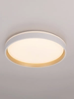 Citilux ENZO CL753450G LED RGB Светильник с пультом Белый + Золото