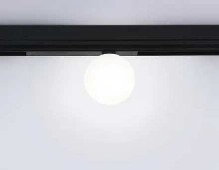 Светильник светодиодный диммируемый для шинопровода Magnetic 220V GL1371 BK черный IP20 10W 3000K-6400K 120° D120/232*120*167 (Без ПДУ)