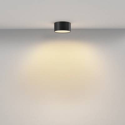 Потолочный светильник Zon 2700К 12Вт 120°, C032CL-12W2.7K-RD-B. TM Maytoni