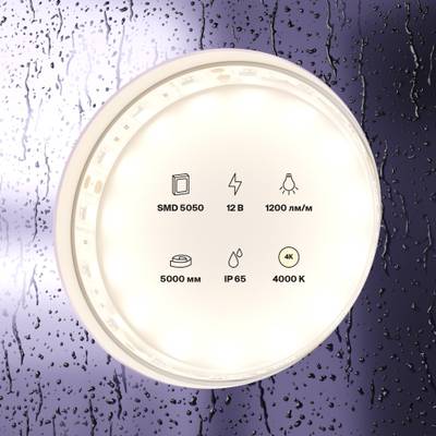 Светодиодная лента 12В 5050 14,4Вт/м 4000K 5м IP65, 10132. TM Maytoni