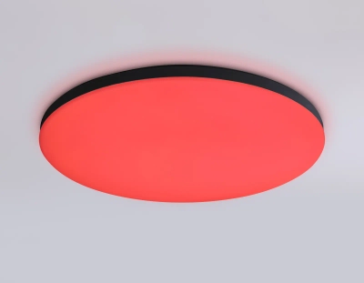 Потолочный светодиодный светильник с Wi-Fi Яндекс Алисой/Tuya/Smart Home/Alexa FZ2004 BK черный IP54 20W 3000K-6500K+RGB D300*55 (ПДУ ИК)