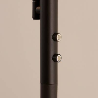 Citilux Харди CL802015 LED Торшер с диммером Кофейный