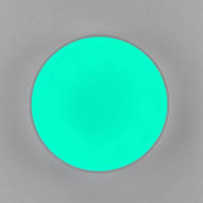 Citilux Купер CL72470G0 LED RGB Светильник с пультом Белый