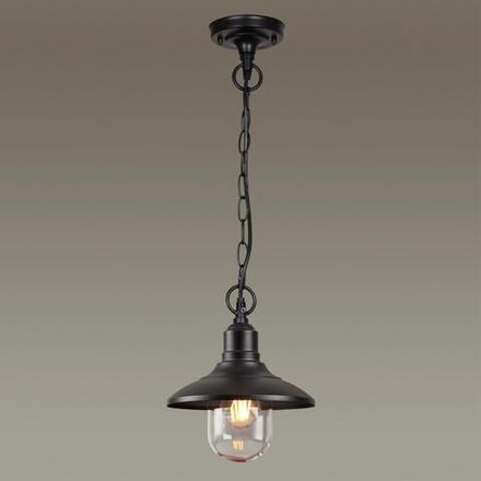 4965/1 NATURE ODL22 735 черный/стекло Ландшафтный подвес E27 1*60W IP44 CAMPA