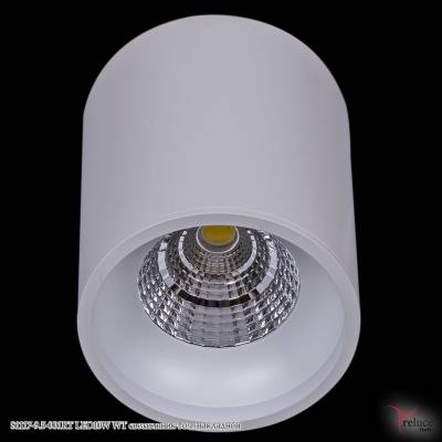 81117-9.5-001RT LED10W WT светильник точ. накладной