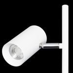 Citilux Twin CL809010N Торшер светодиодный Белый