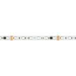 Светодиодная лента SPI-B60-10mm 24V RGB-PX6-RAM (15 W/m, IP20, 5060, 5m) (Arlight, бегущий огонь)