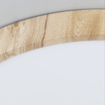 Citilux Бейсик CL738182V LED Светильник накладной Клён