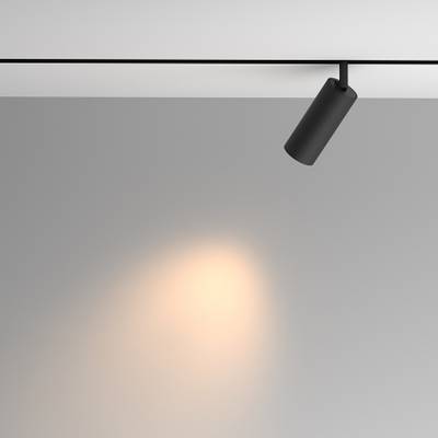 Трековый светильник Artisan Exility 3000K 12Вт 36°, TR097-2-12W3K-M-BB. TM Maytoni